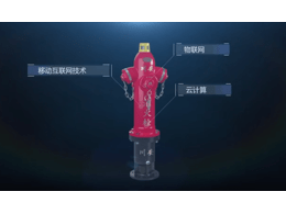 智能地上栓視頻